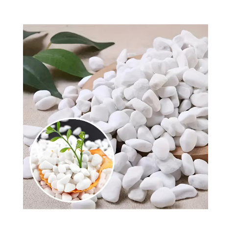 2.5lbs White Natural River Rocks, 1-2 inch Decorative Stones for Plants, Garden Landscaping, Vases, Aquarium, Crafts & Home Décor, Smooth White Pebbles for Indoor & Outdoor Use